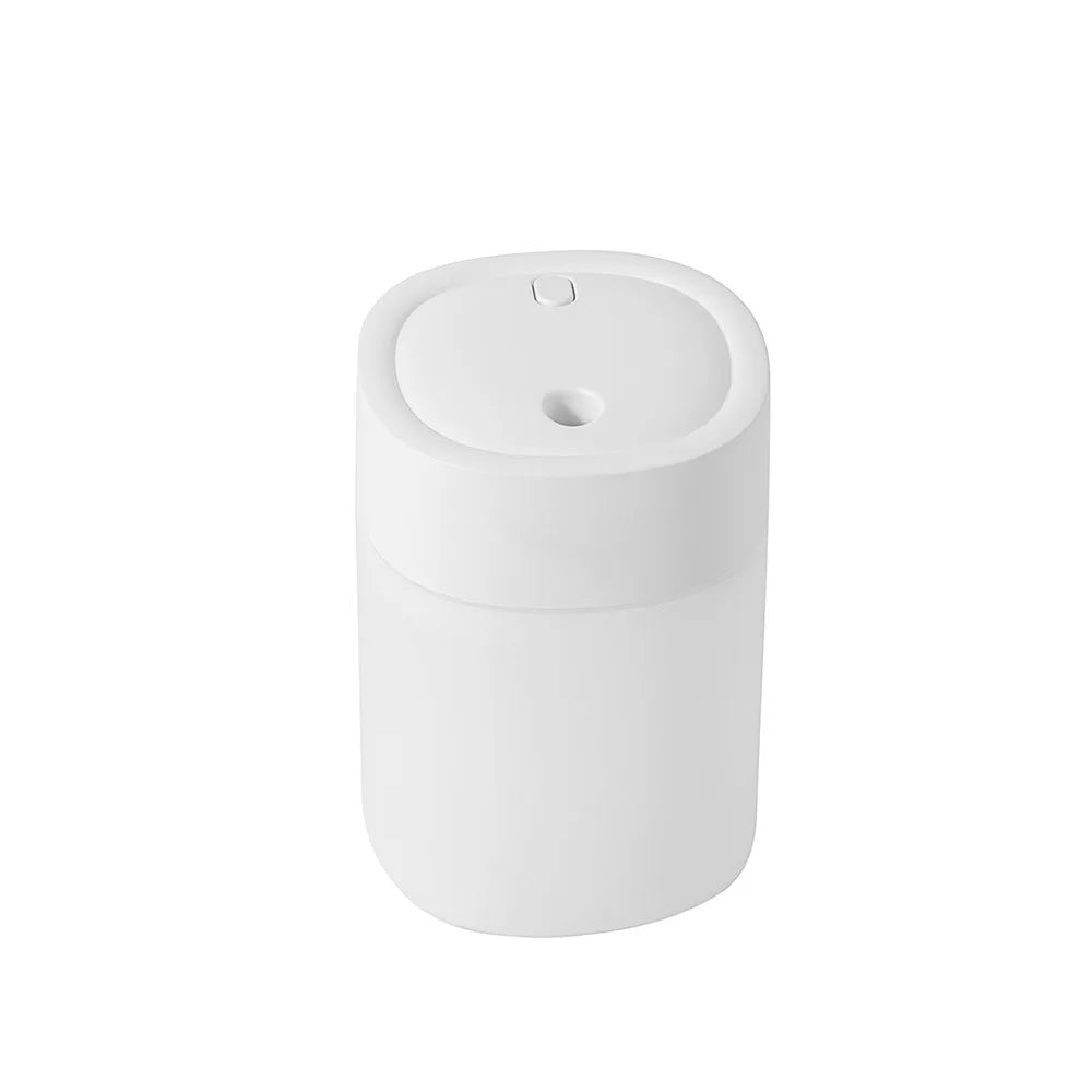 USB Mist Facial Sprayer | Lumajo